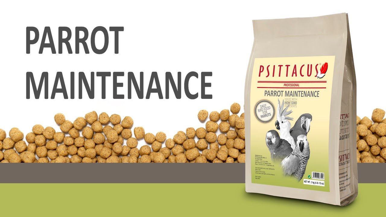 Parrot Maintenance (Versi&oacute;n Espa&ntilde;ola)