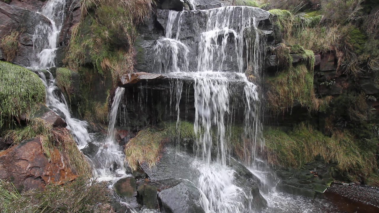 Bronte falls