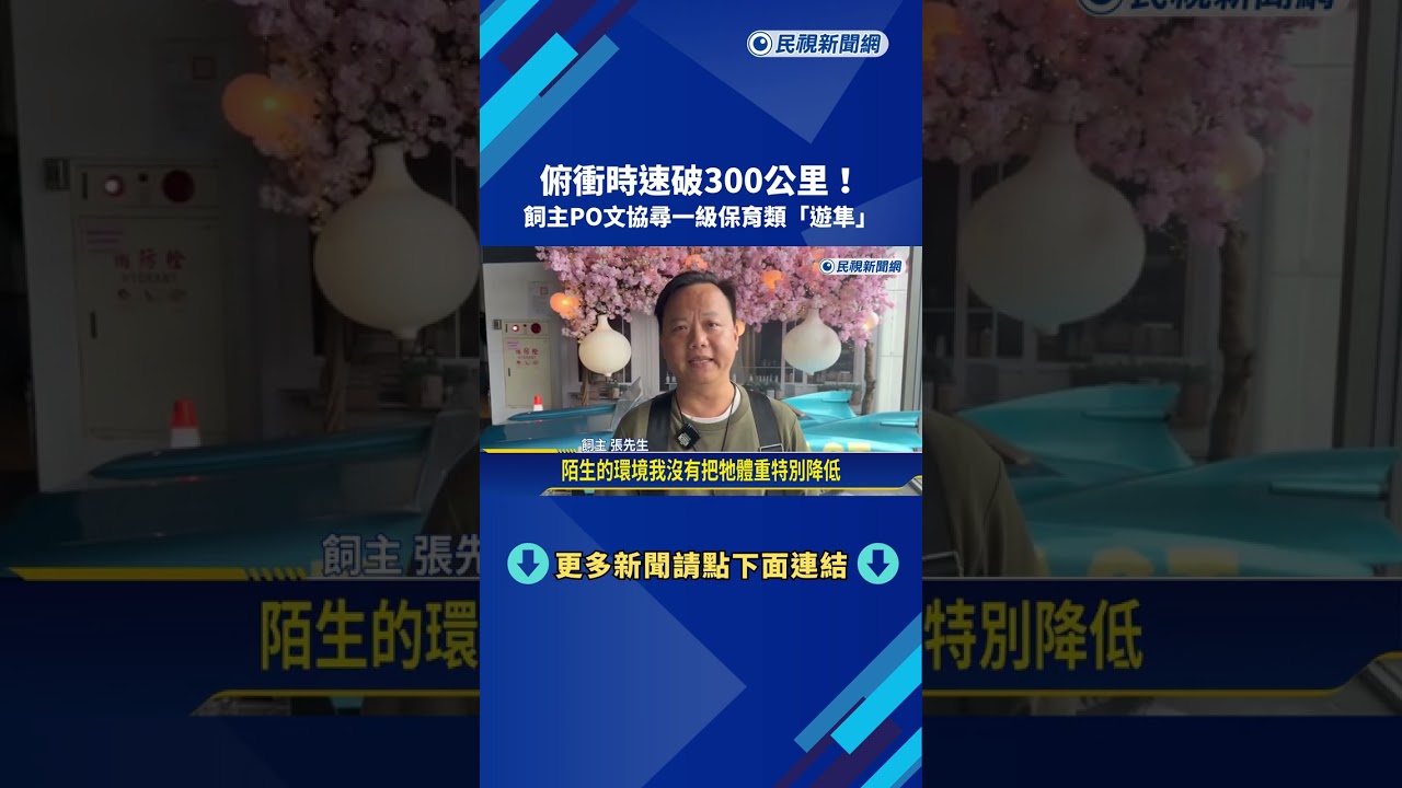 俯衝時速破300公里! 飼主PO文協尋一級保育類