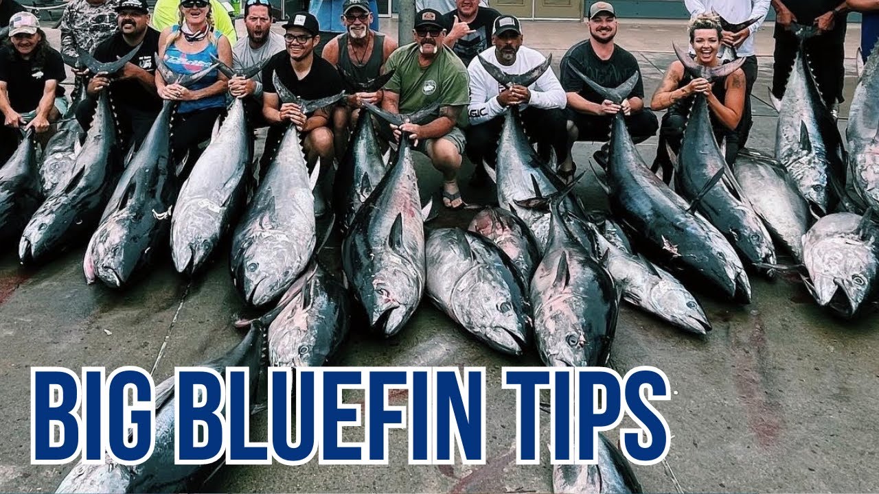 Tips to Land your Biggest Bluefin Tuna