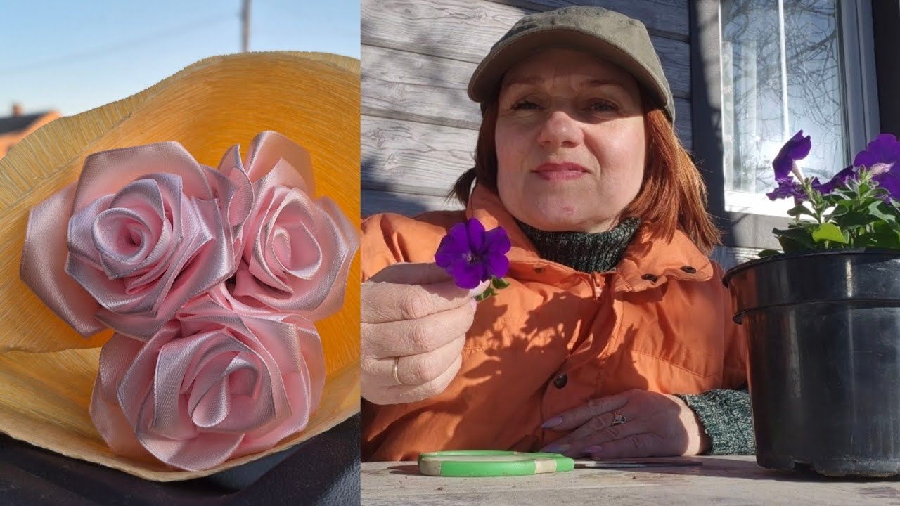 ЖИВЦЮЮ ПЕТУНІЮ І ОТРИМУЮ ТРОЯНДОЧКИ ВІД ПРИХИЛЬНИЦІ СОФІЙКИ 🥰🌹