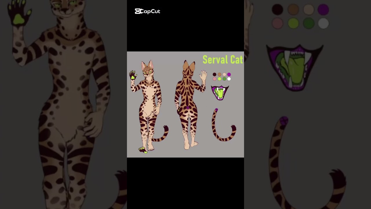 Serval Cat 