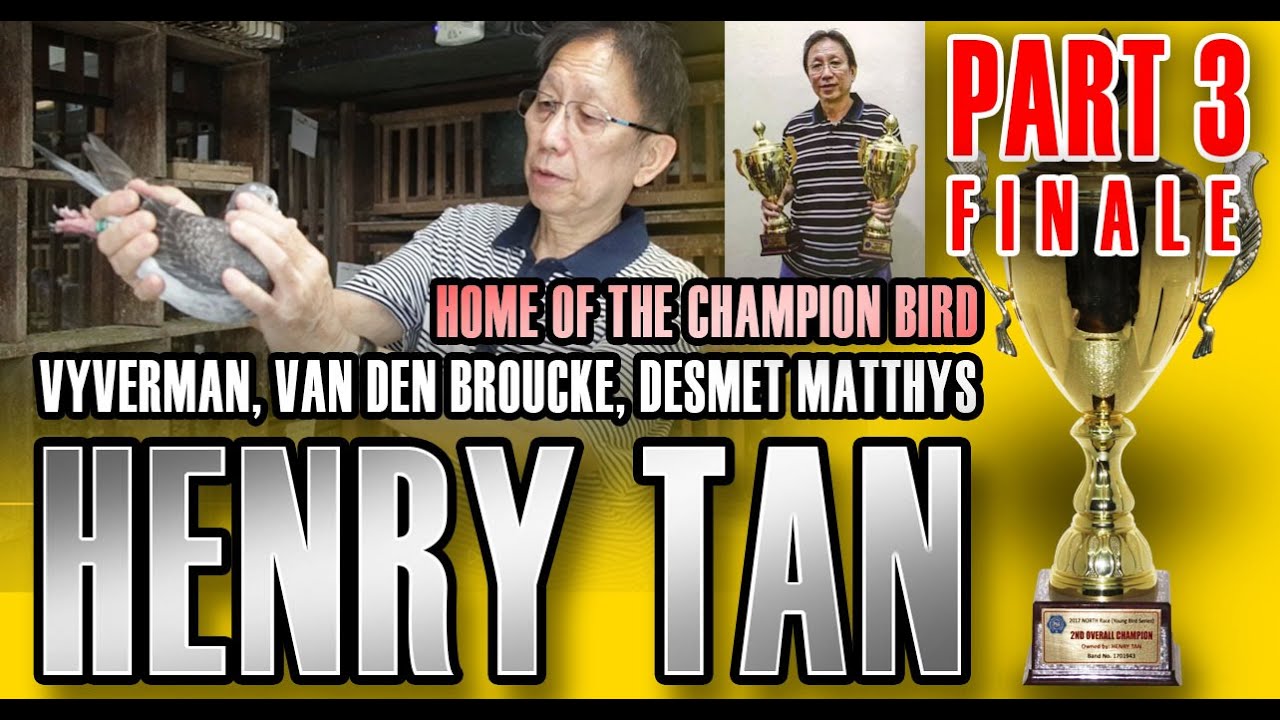 Episode 22 Mr. HENRY TAN - (PART 3/FINALE) PHA MEMBER Pigeon Fancier