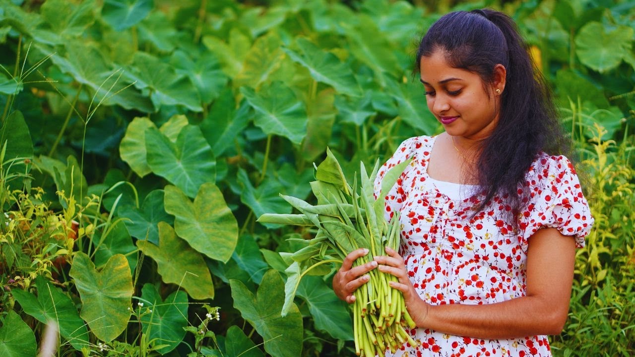 A Taste of Tradition Taro Leaves Curry & Multicolored String Hoppers! Village Cooking Recipe