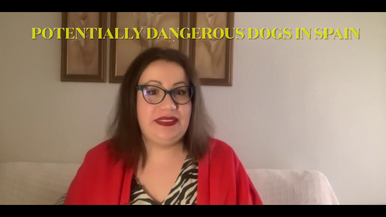 POTENTIALLY DANGEROUS DOGS IN SPAIN