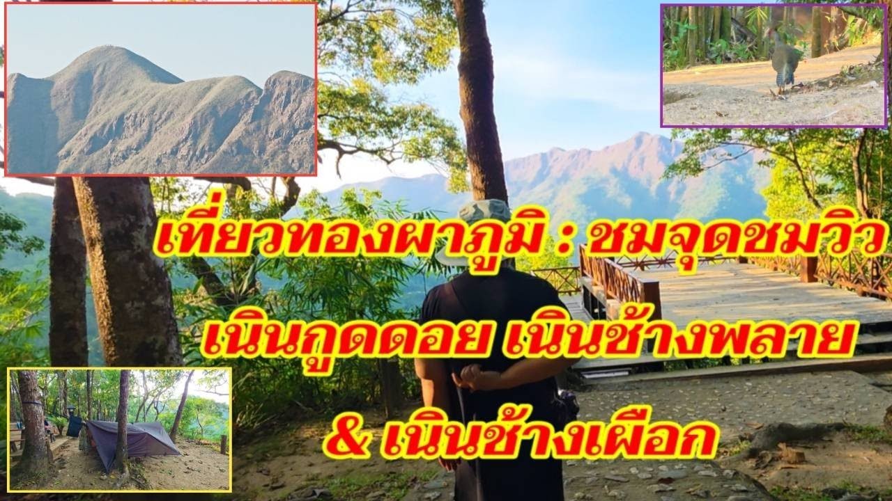 เที่ยวทองผาภูมิ : ชมจุดชมวิวเนินกูดดอย เนินช้างพลาย  & เนินช้างเผือก  @sansonyoutube 