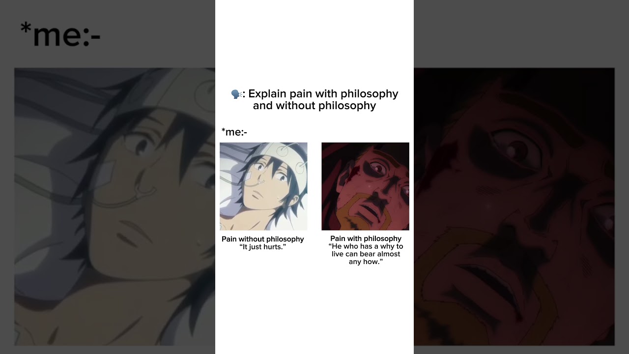 Pain hits different when you start thinking like Nietzsche #anime #philosophy #vinlandsaga #erased
