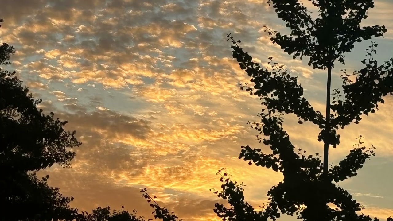 Slipped in your mind(a fantasy) - Shiloh Driving