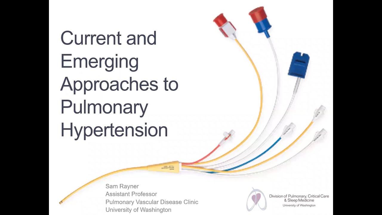 Current and Emerging Approaches to Pulmonary Hypertension