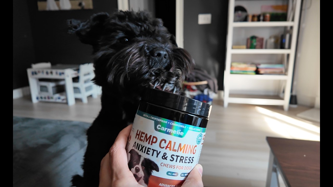 Complete Breakdown of the Hemp Calming Chew by Carmelie
