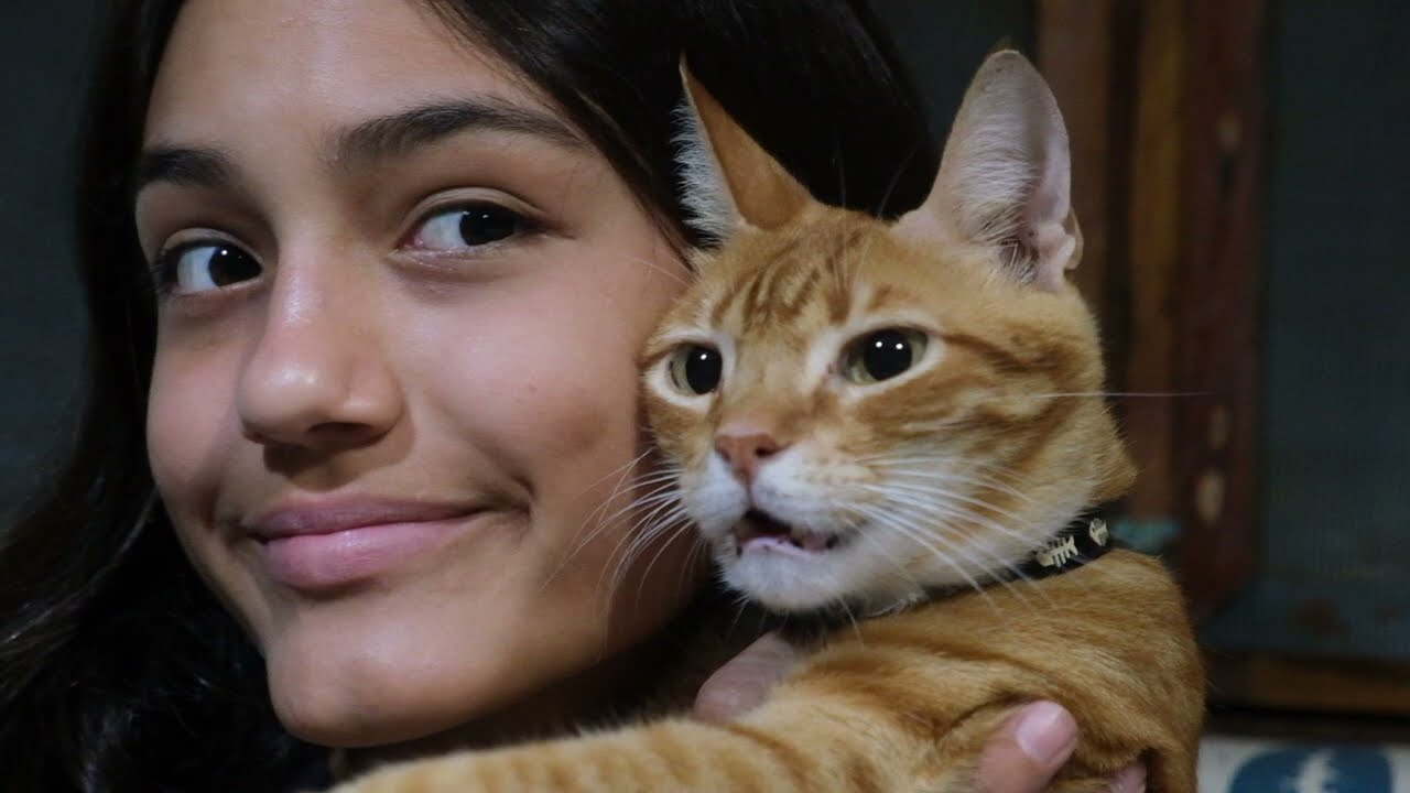 vlog #3