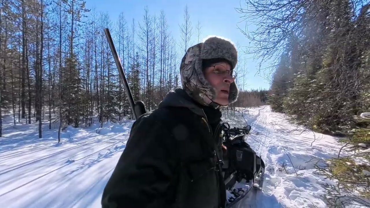 Жизнь в хижине вне цивилизации. День 10.