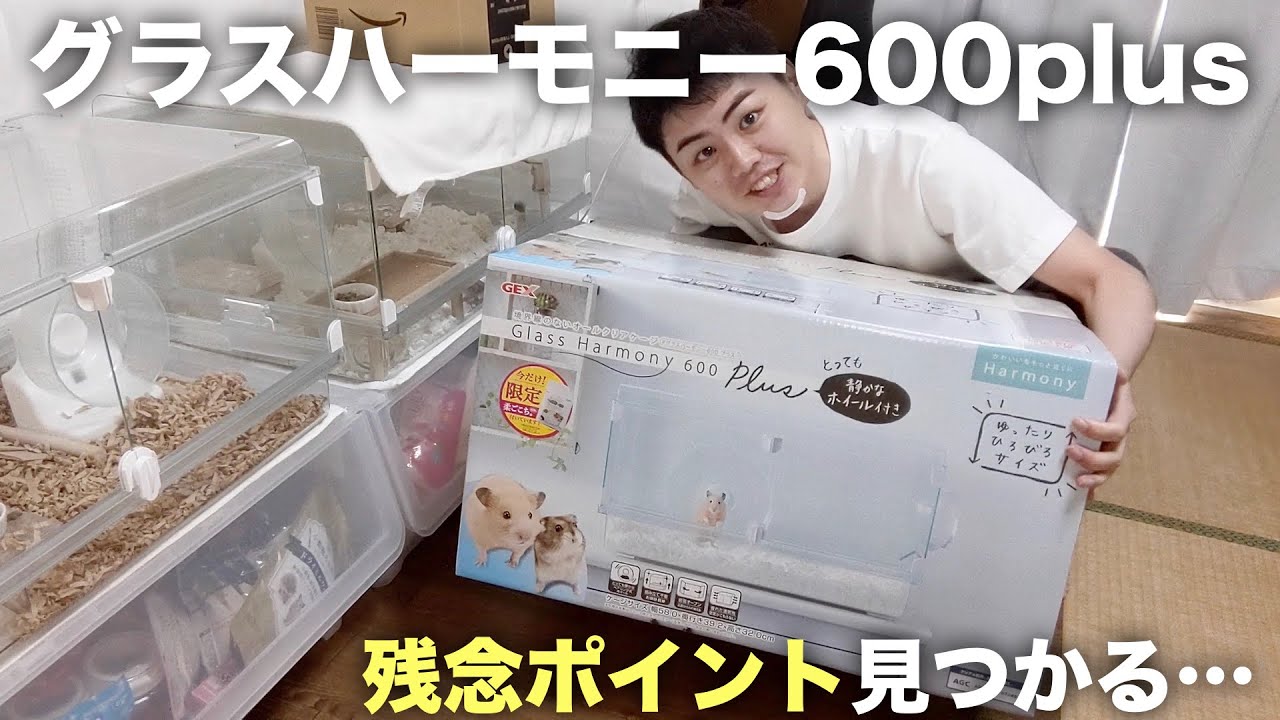 ハムスター用ケージに絶対おすすめのグラスハーモニー600プラスが届きました！