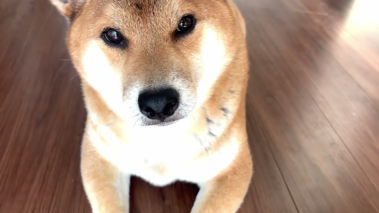納得できません