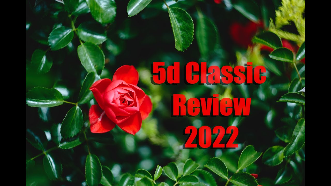 Canon 5D (Classic) Review 2022