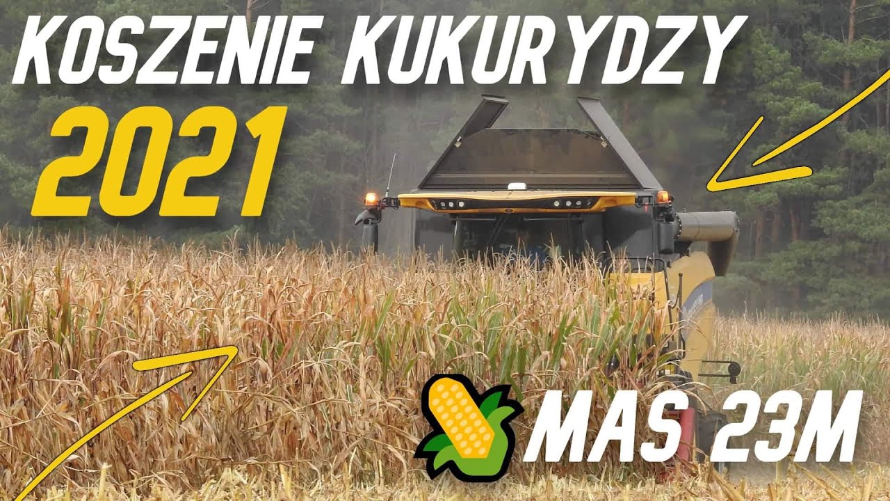 Kukurydza dobrze sypie ! Mas 23M | New Holland CX 6.80 [vlog#150]
