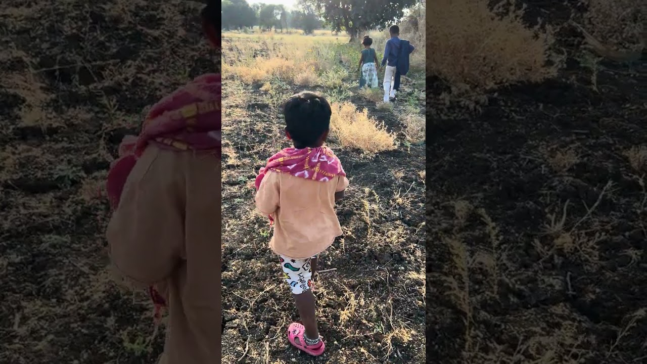 लेकराना शेतात घेऊन गेले बघा सगळ्या 