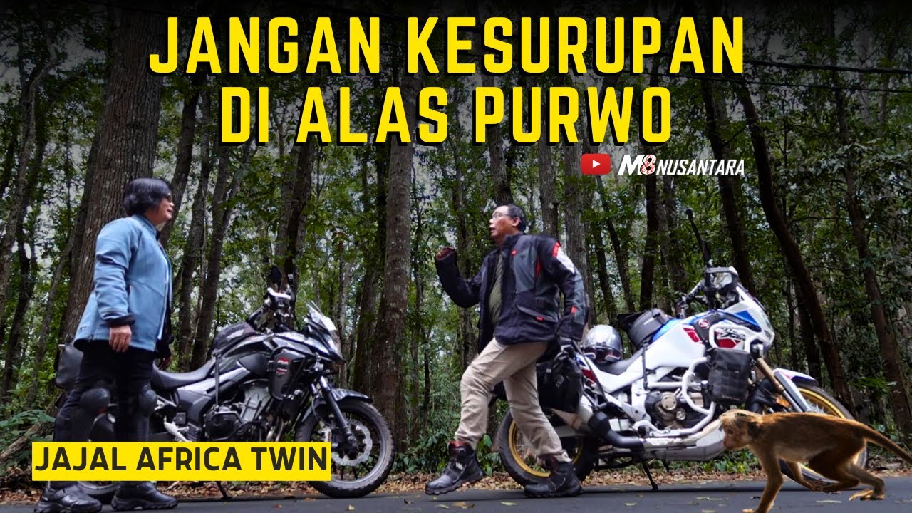 Jangan Kesurupan di Alas Purwo - Touring Motor Jajal Africa Twin Ep. 04