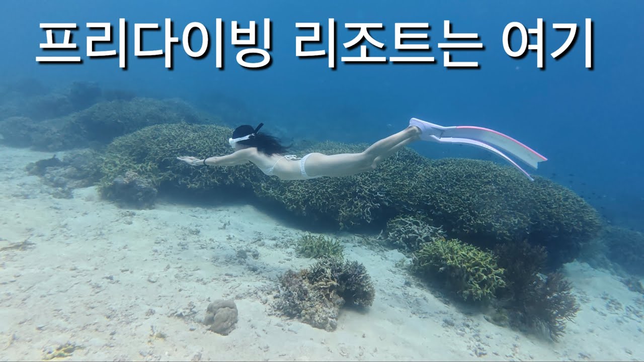 누사베이 멘장안 리조트 마지막 날 프리다이빙
