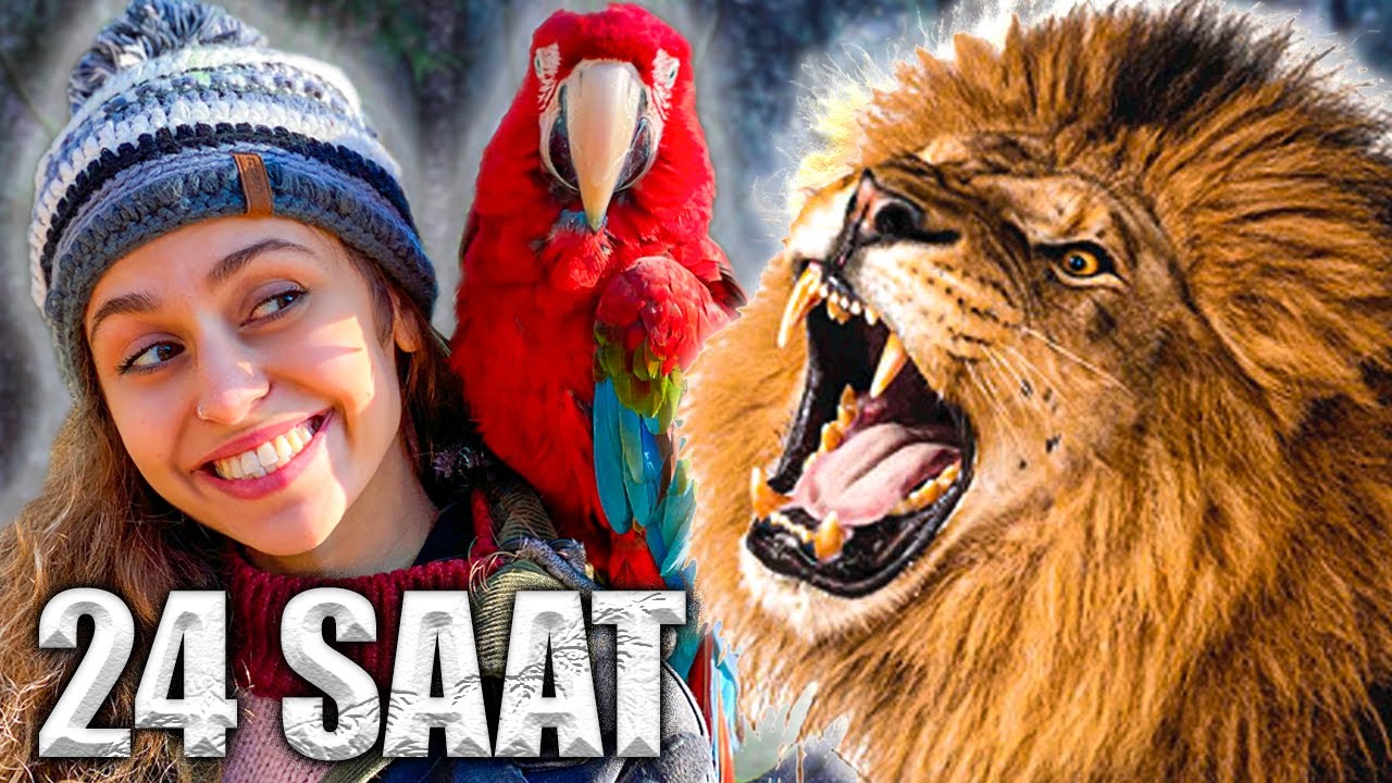 ASLAN BESLEDİM! VAHŞİ HAYVAN BAKICISI OLDUM #BetülStajda