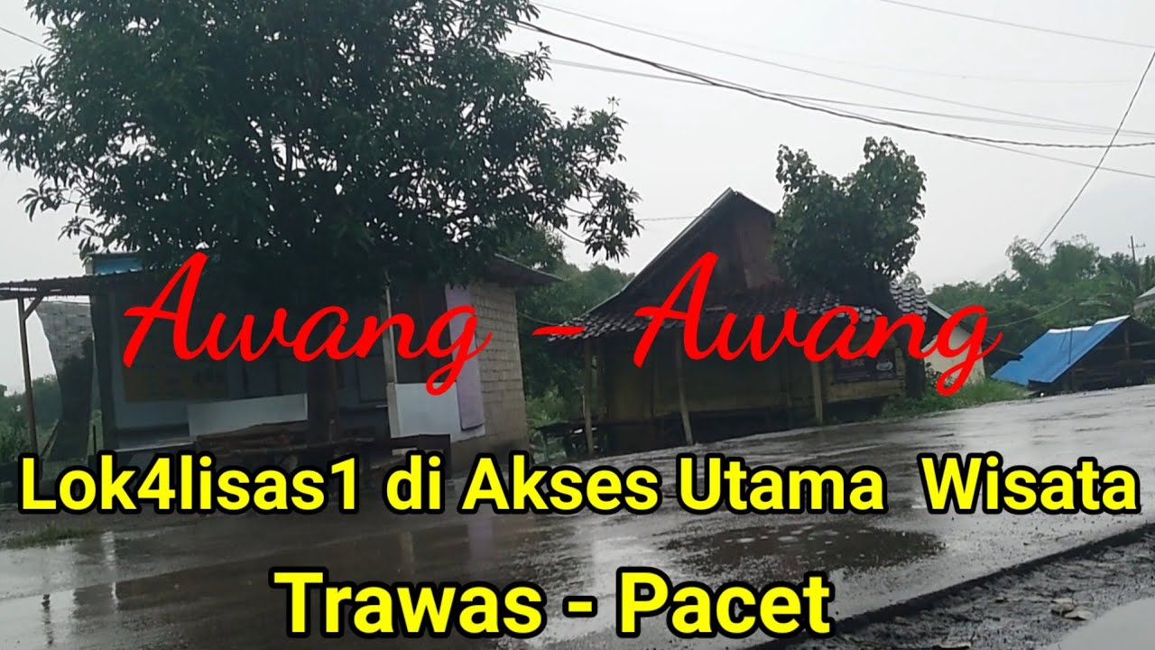 Melihat Lok4lisas1 Awang Awang Mojosari.