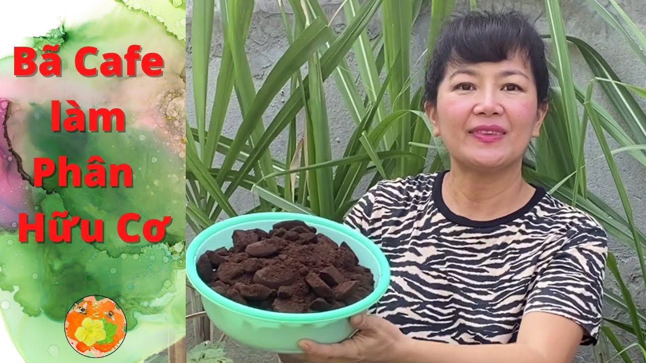 Cách làm phân bón hữu cơ từ Bã cafe-Bã cafe cải tạo đất, đuổi côn trùng, khử mùi hôi @vuonhuuco