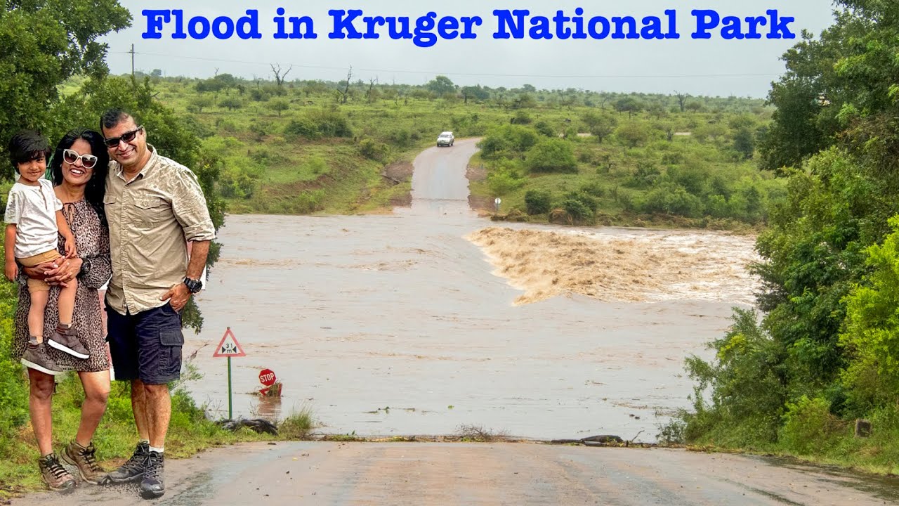 Ep 44  Unexpected Flood: Our Last Day Adventure in Kruger National Park | Ngwenya lodge