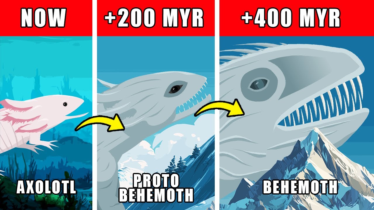 Behemoth Origin Evolution: How Behemoth Could Have Evolved
