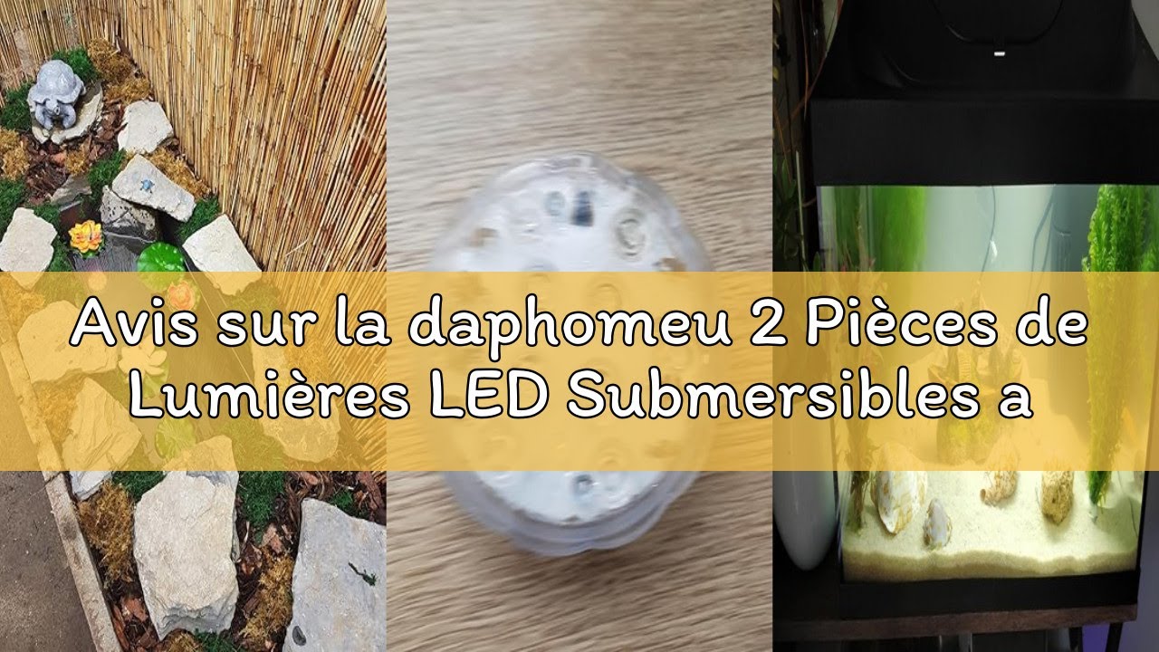 Avis sur la daphomeu 2 Pièces de Lumières LED Submersibles avec Télécommande à Piles, Lumières Imper