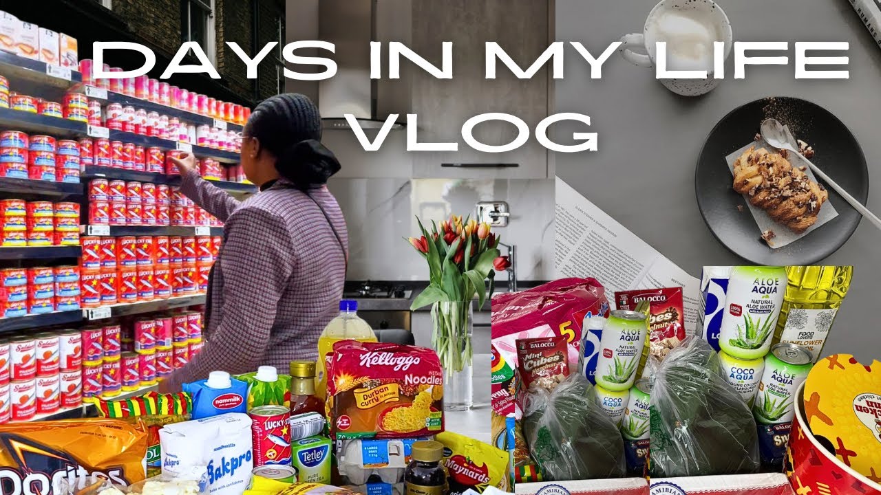DAYS IN MY LIFE VLOG | Grocery Shopping + Hauls, Chit Chat + More