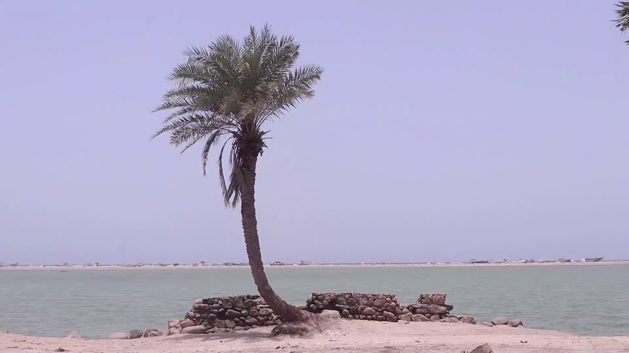أبو زهر .. قطع متجاورات من الجمال الرباني