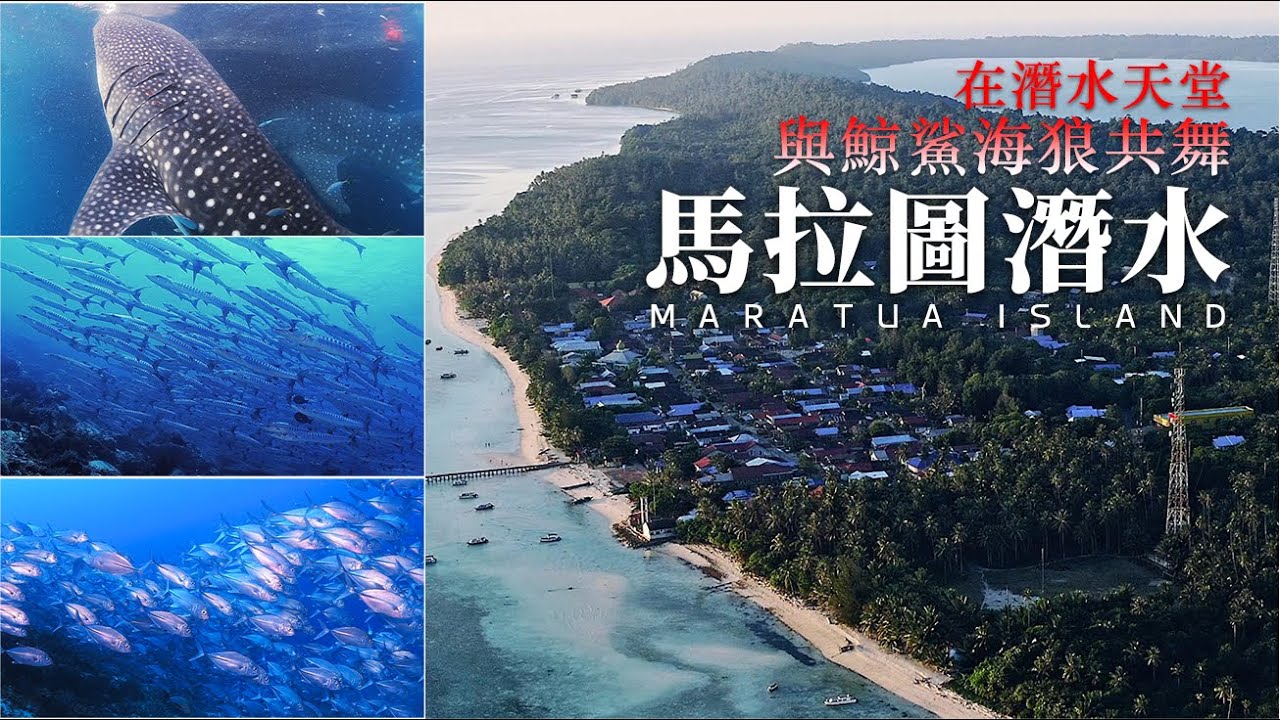 潛水天堂：美麗的馬拉圖島（4k高清版）