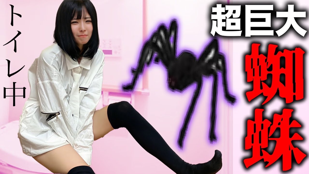 トイレの上から超巨大グモが落ちてくるドッキリでガチお漏らしww