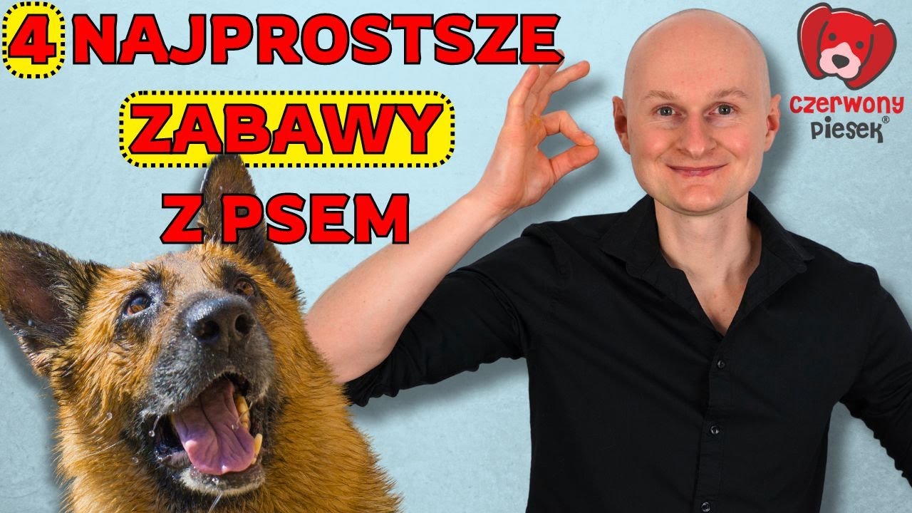 Jak bawić się z psem, kt&oacute;ry nie umie bawić się zabawkami? 4 zabawy dla kompletnych nowicjuszy