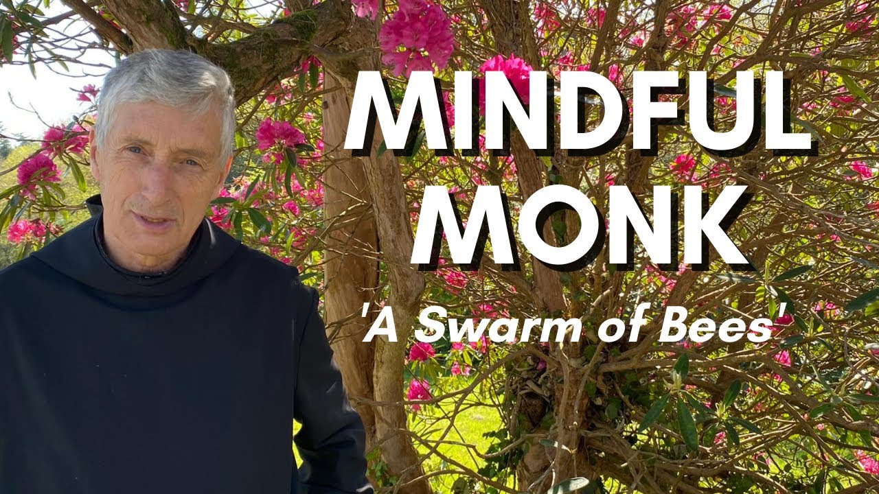 Mindful Monk Sr 4, Ep 8: A Swarm of Bees