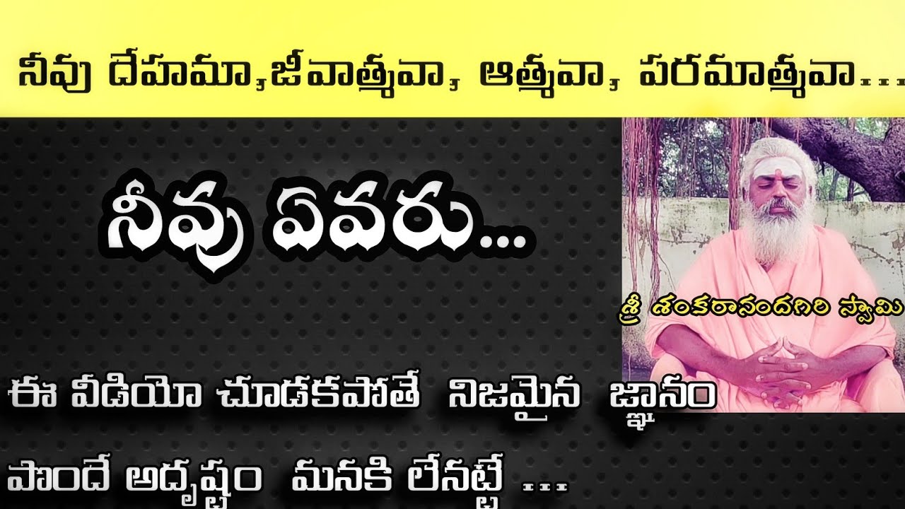 నీవు దేహమా, జీవాత్మవా , ఆత్మవా , పరమాత్మవా ,  నీవు ఎవరు | pravachanam by sri sankarananda giri swami