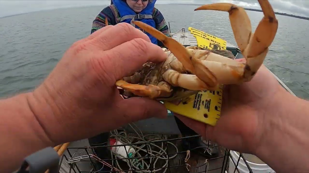 Fishing And, Crabbing in Westport Washington