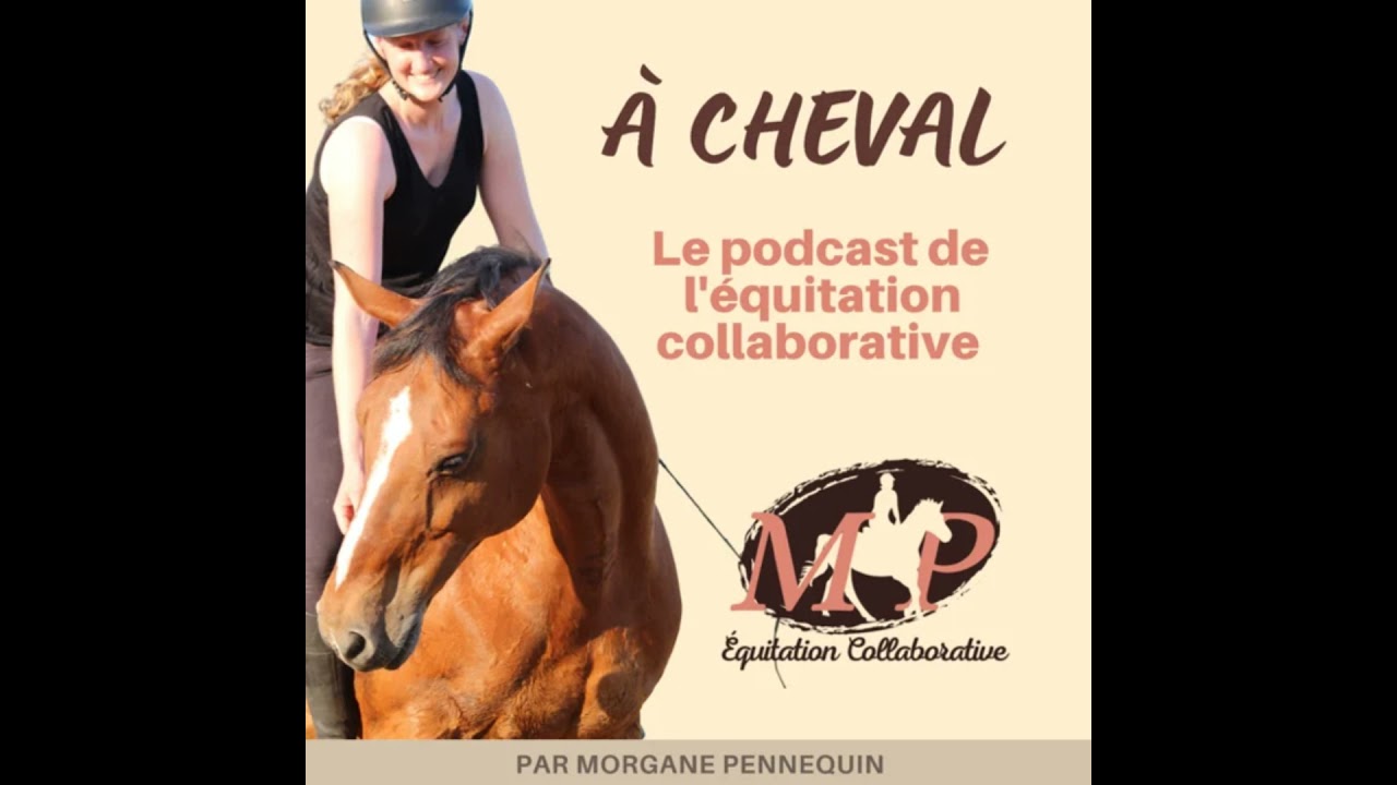 158. La zone d’apprentissage du cheval