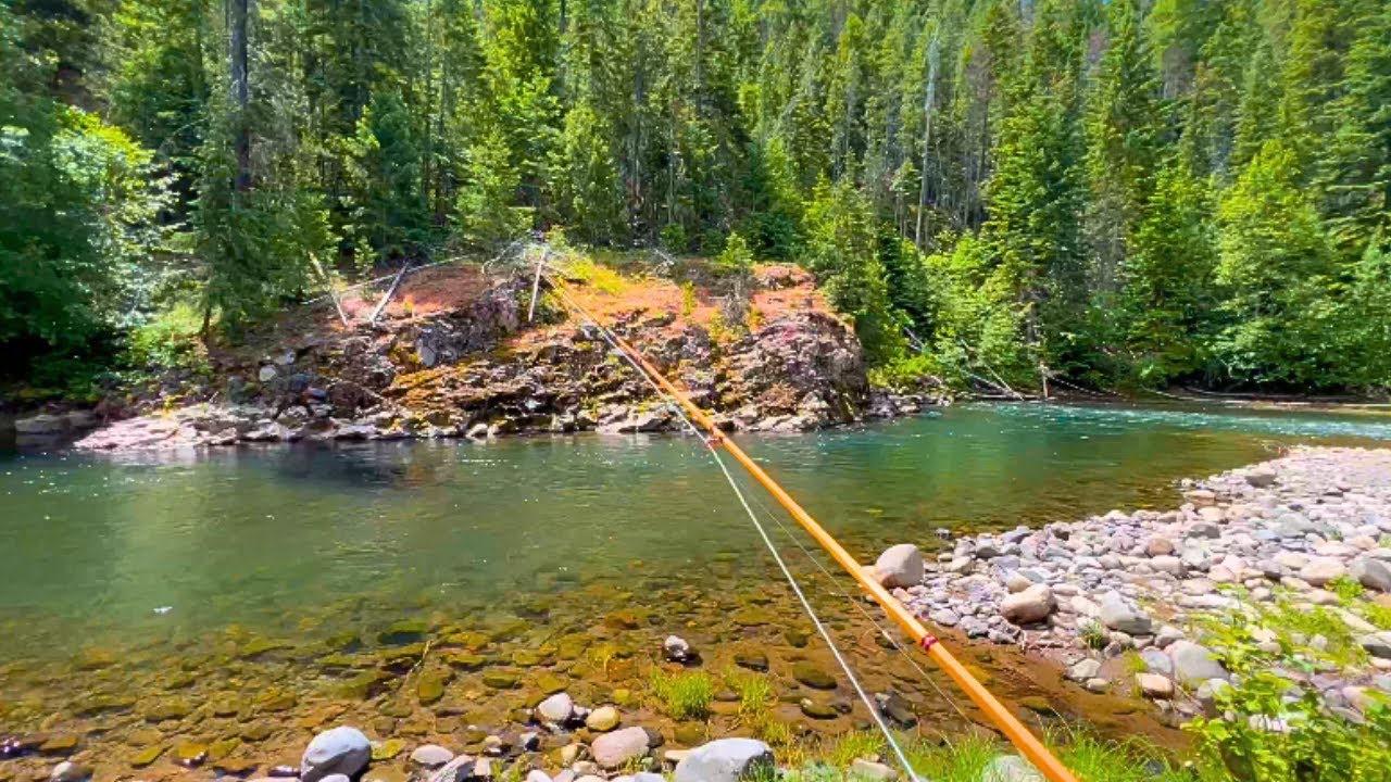The most INCREDIBLE small stream on the planet (fly fishing for trout)