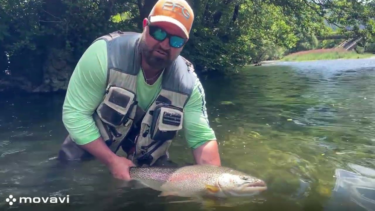 Big Rainbow Trout Flyfishing Bosnia