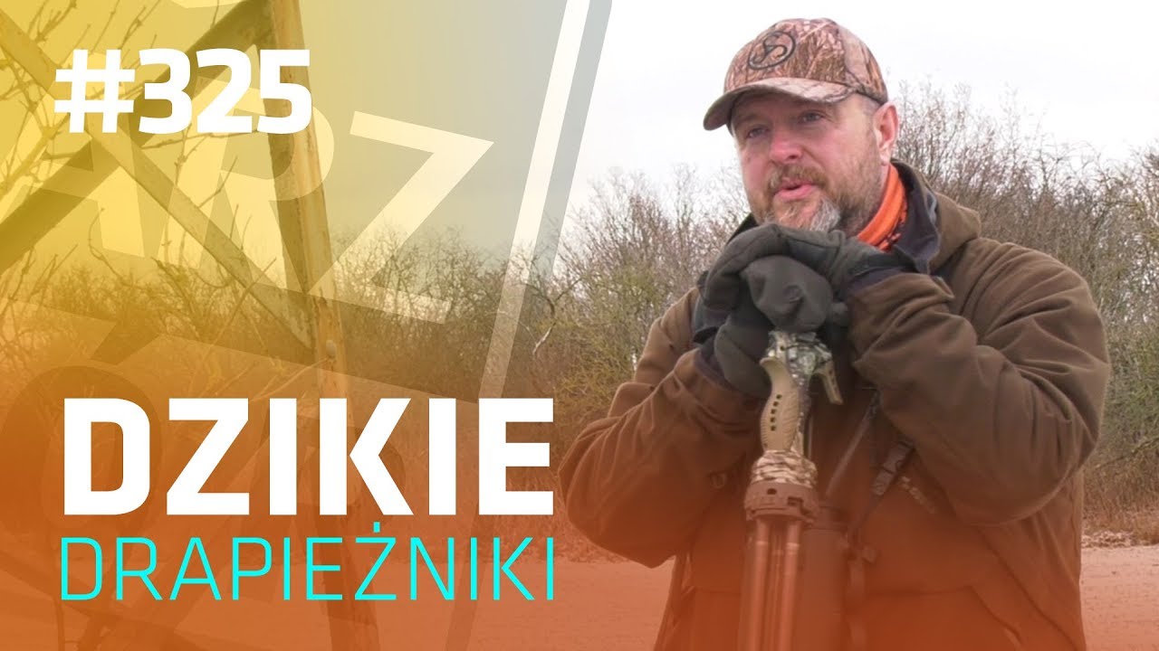 Darz Bór odc 325 - Dzikie drapieżniki