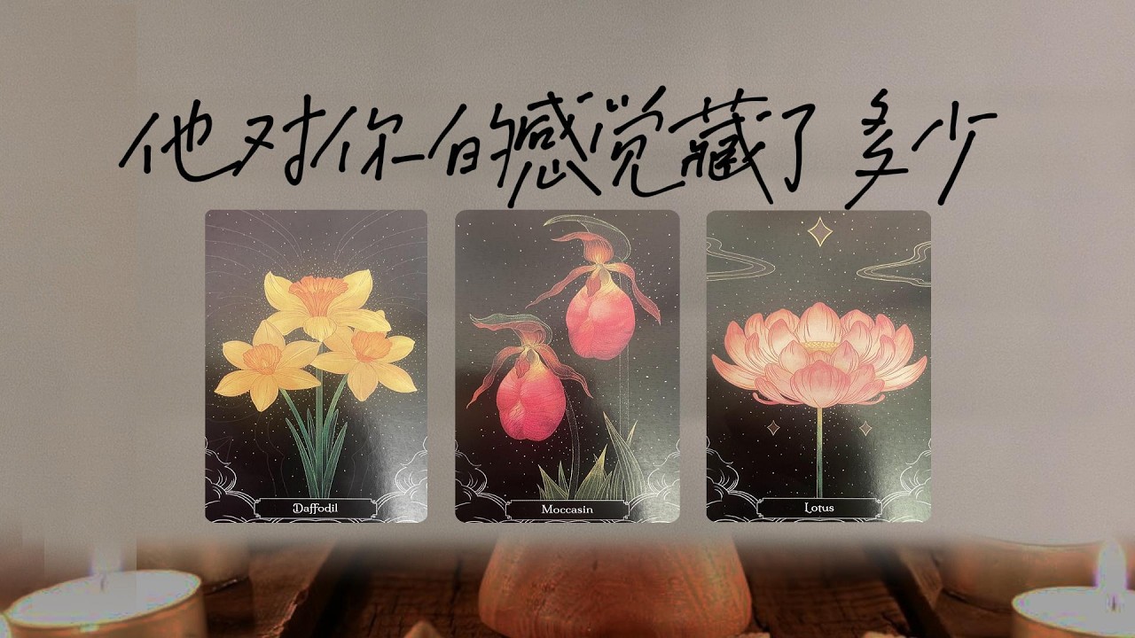 他對你的感覺，到底藏了多少？你敢聽真相嗎？|塔羅測試|愛情|戀愛|