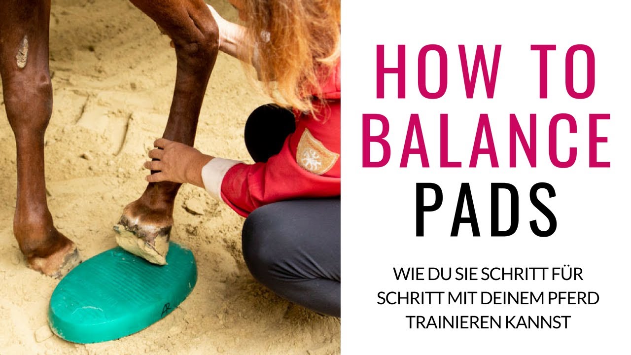 Balance Pads! So kannst du sie mit deinem Pferd trainieren