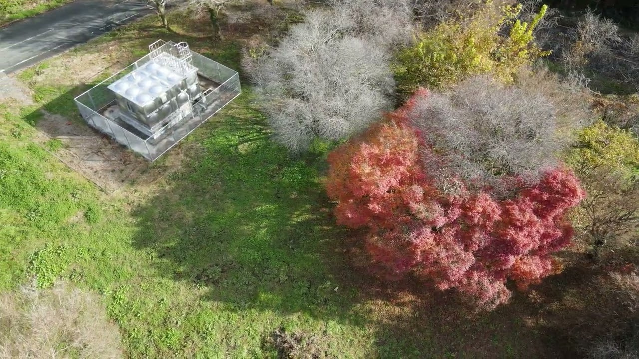 大洲家族旅行村 十月桜と紅葉