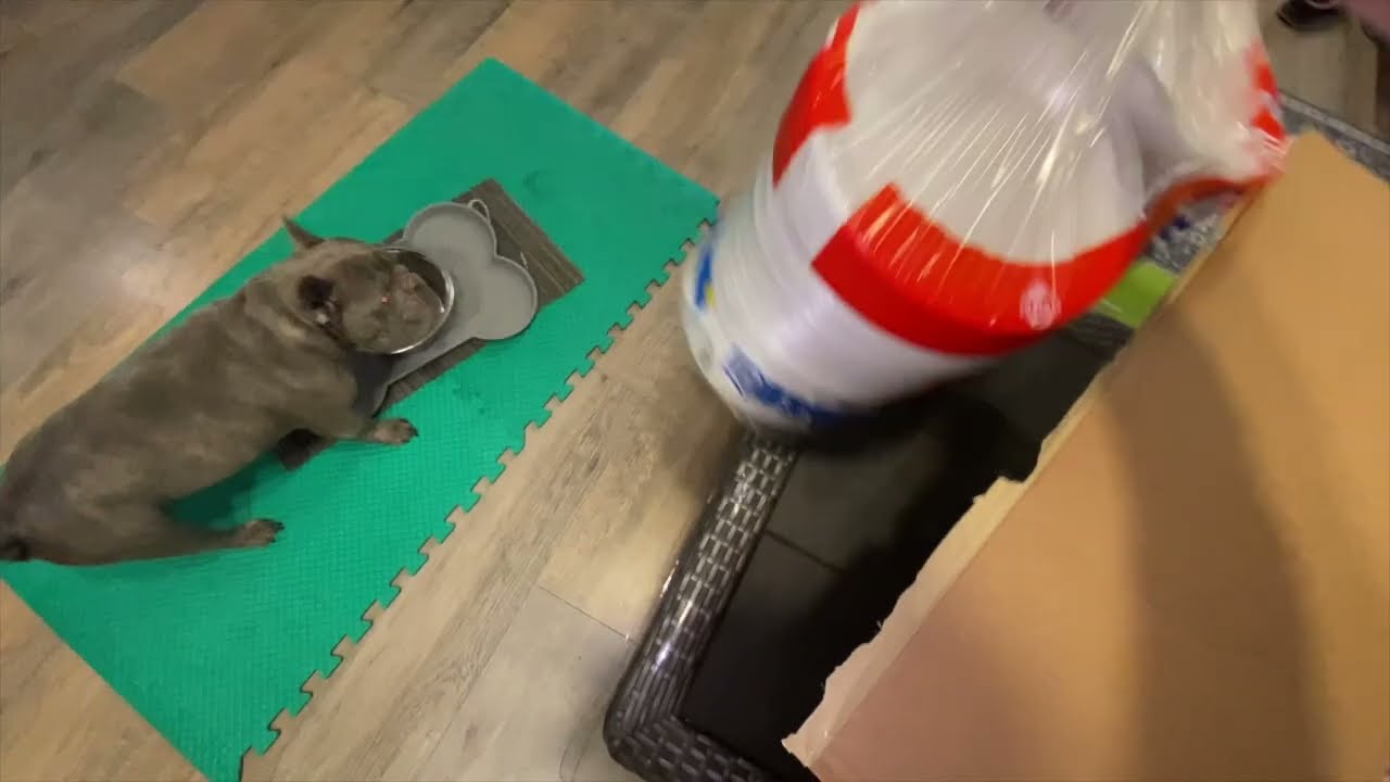 Sam's Club on the Porch & Shop with me