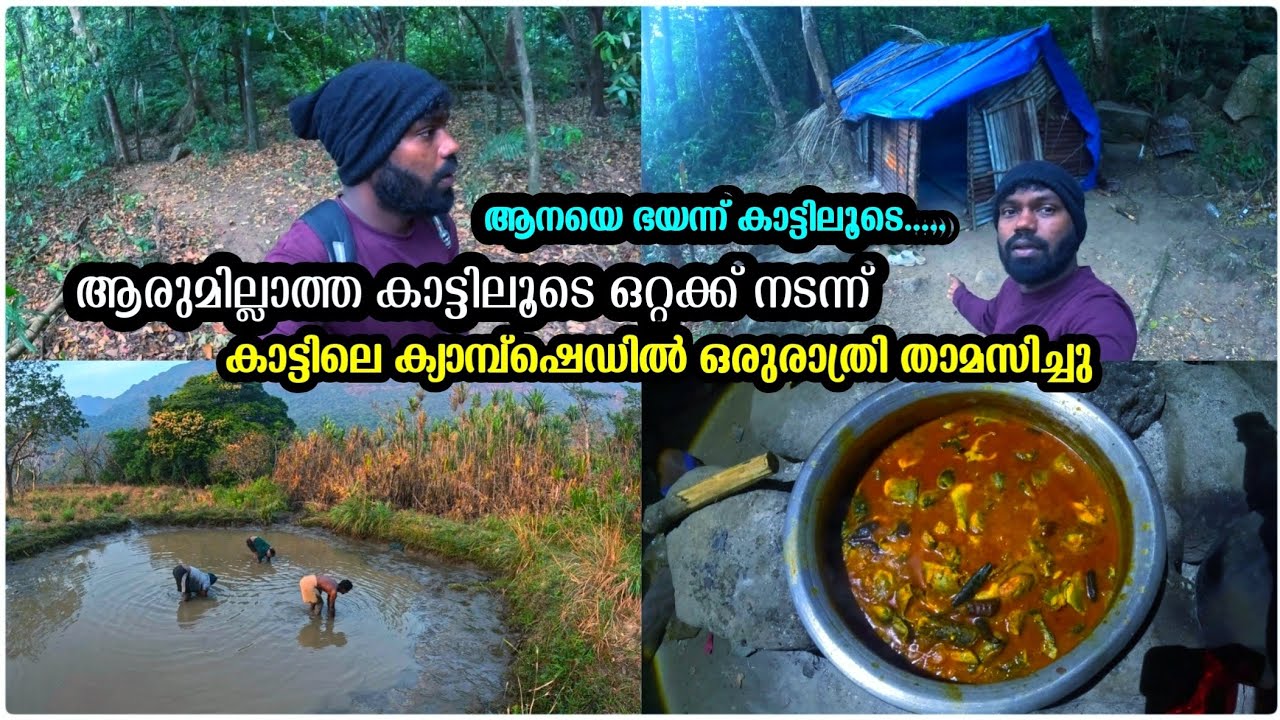 🐘ആരുമില്ലാത്ത ഉൾക്കാട്ടിലൂടെ ഒറ്റക്ക് നടന്ന് കാട്ടിലെ ക്യാമ്പ്ഷെഡിൽ ഒരുരാത്രി താമസിച്ചു🥹🐒