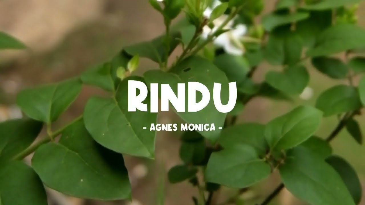 agnes monica - rindu - lirik lagu indo