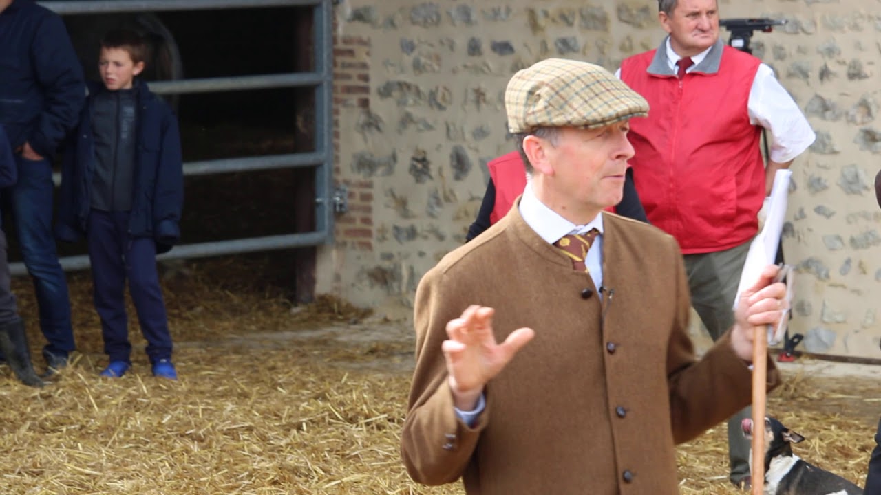 Vente de percheron Patout - Montigny - 19 octobre  2019