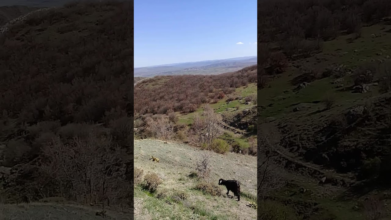 Tokat sulusaray balikhisar koyu 2018