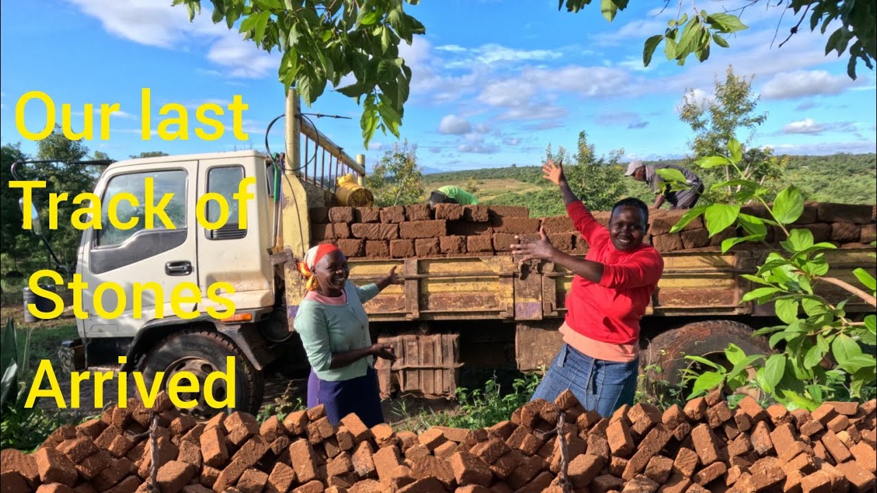 Unbelievable milestone!! our last track of stones arrived+cooking cow ribs , vegetables and doughnut